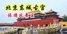 07年粉嫩姑娘抠逼自慰中国北京-东城古宫旅游风景区